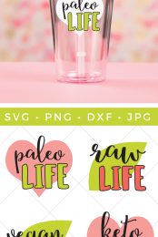 A pink table against a pink and yellow blurred background holding a clear plastic glass with a straw in it with a design on it that says, "Paleo Life" and four cut files that say, "Paleo Life", "Raw Life", "Vegan Life" and "Keto Life" with advertising from HEYLETSMAKESTUFF.COM