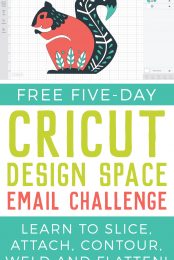 Image of a squirrel in Cricut Design Space and advertising for a Free Five-Day Cricut Design Space Email Challenge by HEYLETSMAKESTUFF.COM