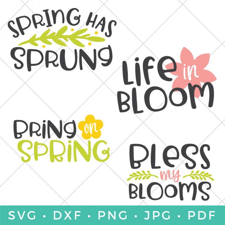 Four cut files that say, \"Spring has Sprung\", \"Life in Bloom\", \"Bring Spring\" and \"Bless My Blooms\"