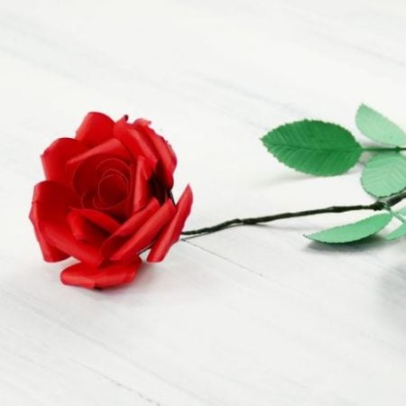 A single red rolled paper rose