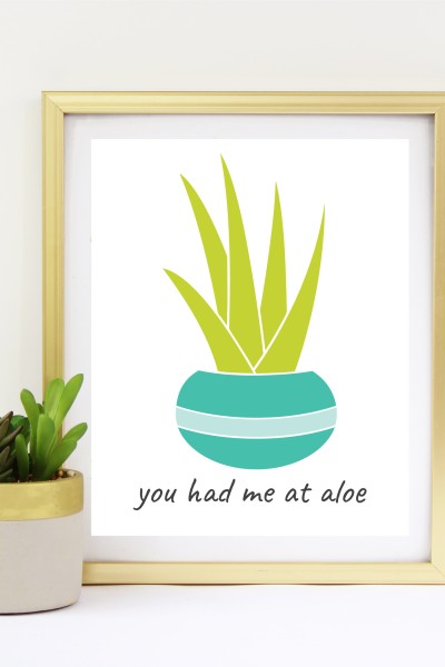 A potted succulent along-side of a framed picture of a potted aloe plant with the saying "You Had me at Aloe"