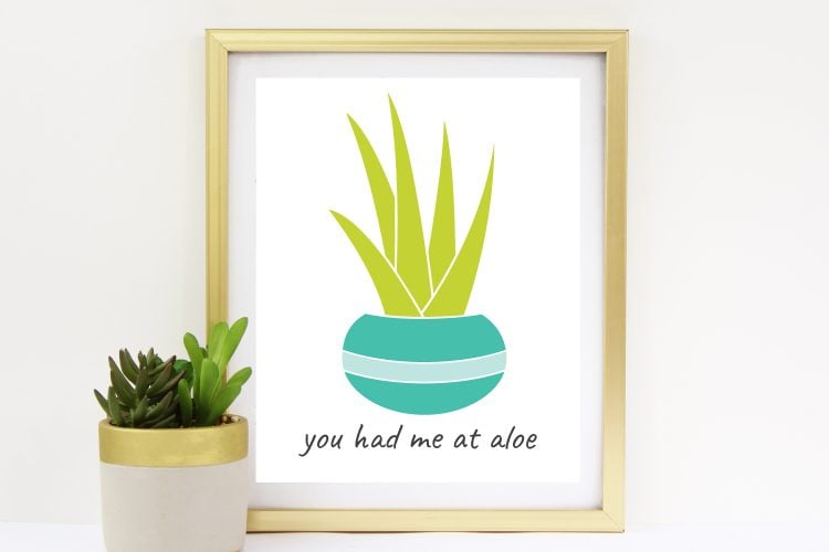 A potted succulent along-side of a framed picture of a potted aloe plant with the saying \"You Had me at Aloe\"