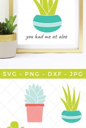 A potted succulent along-side of a framed picture of a potted aloe plant with the saying "You Had me at Aloe" and an image of four colorful cut file designs of potted succulents advertised by HEYLETSMAKESTUFF.COM