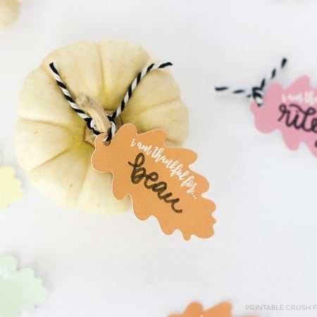 Leaf place card tied to a small white decorative pumpkin