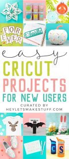 Easy Cricut Projects for Beginners - Easy Paper, Vinyl, and HTV Ideas!