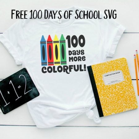 100 Days of School - Pattern Revolution