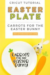 Make sure to give the Easter Bunny something to chomp on when he visits your house this Easter! Make this Carrots for the Easter Bunny plate using your Cricut and adhesive vinyl.