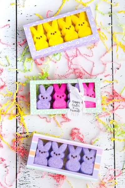 Three treat boxes made with a Cricut that make a home for Easter peeps.  Boxes hold four peeps each.