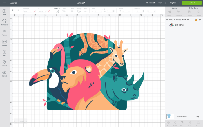 Cricut Printables Iron On