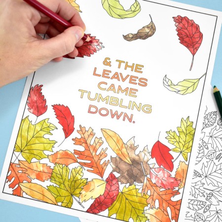 fall printable coloring page