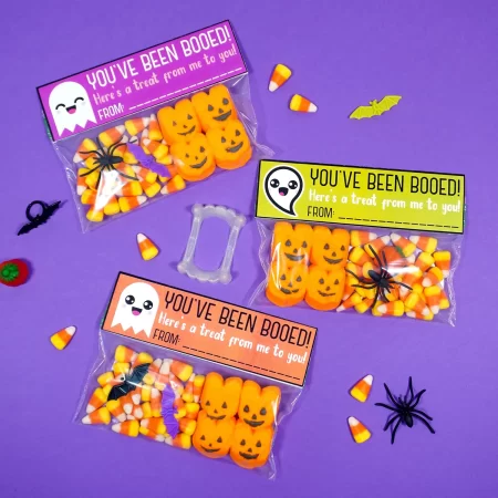“You’ve Been Booed” treat bags
