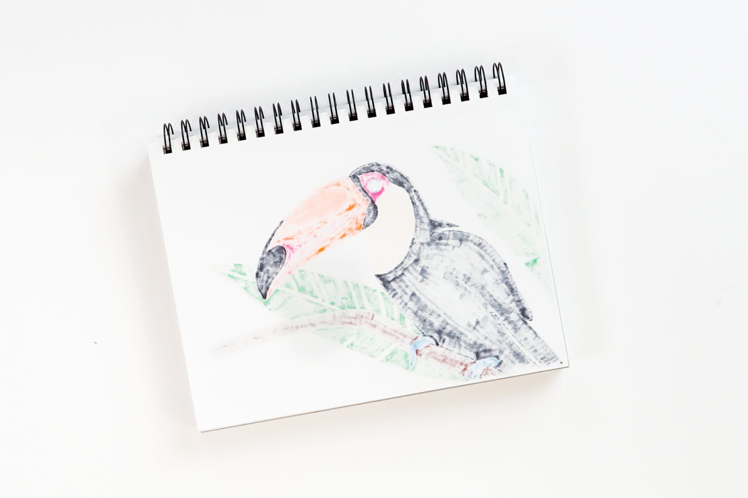 Back of toucan drawing showing bleed through