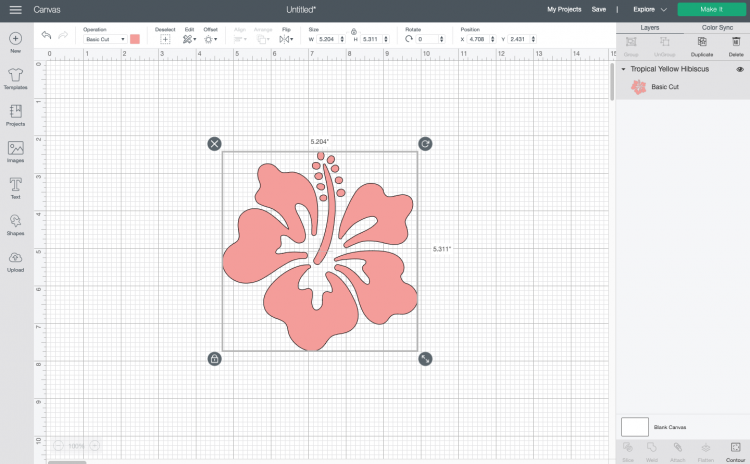 Cricut Design Space: Pink hibiscus image from the Cricut Image Library