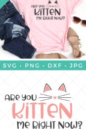 Are You Kitten Me Right Now SVG file security image
