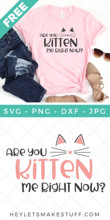 Are You Kitten Me Right Now SVG file security image