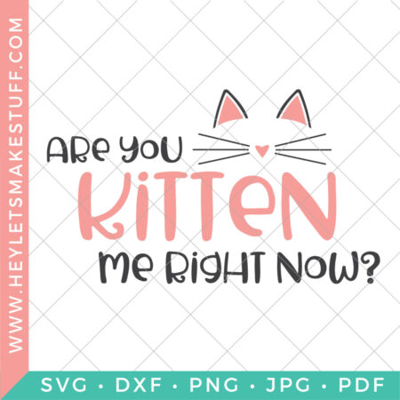 Are You Kitten Me Right Now SVG file security image