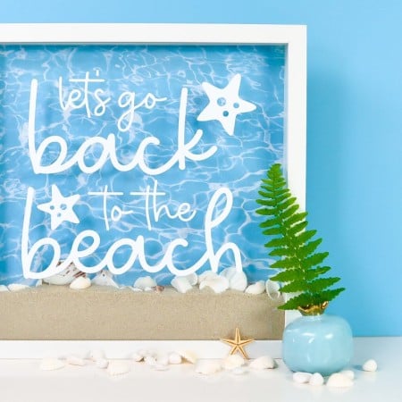 Finished shadow box with "Back to the Beach" decal, sand, shells, and staged with a plant