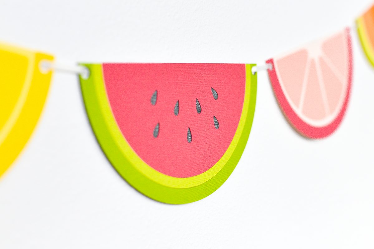 Closeup of watermelon in fruit slice banner