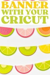 Fruit Slice Banner Pin Image