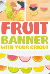 Fruit Slice Banner Pin Image