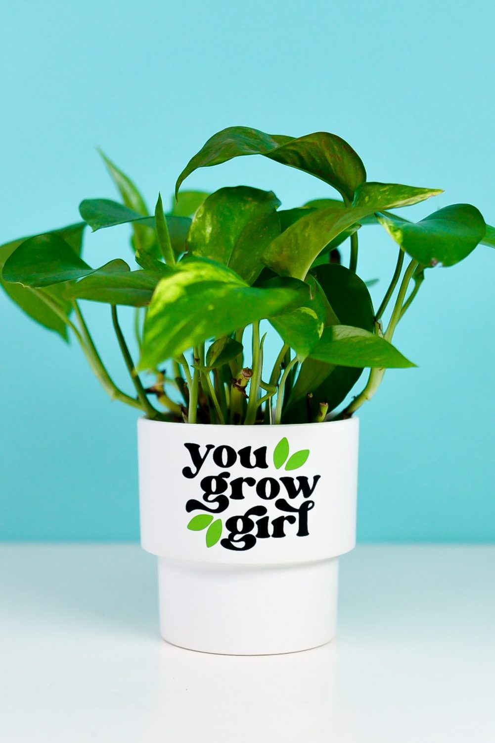 Finished pot with "you grow girl" and a plant inside