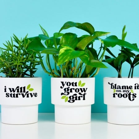Finished funny flower pots with plants on a teal background