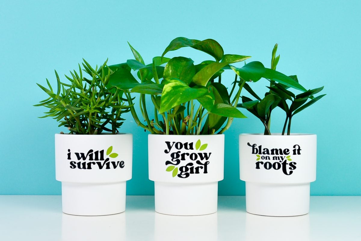 Funny Flower Pots with Your Cricut + Flower Pot SVG Files