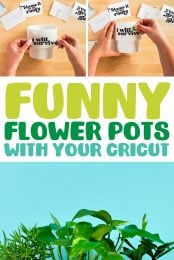 Funny Flower Pots with your Cricut pin image