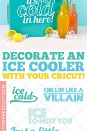 Ice Cooler Decal Pin Image