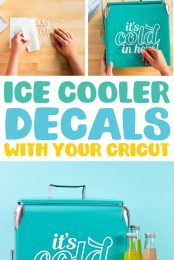Ice Cooler Decal Pin Image