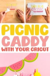Cricut Picnic Caddy Pin Image