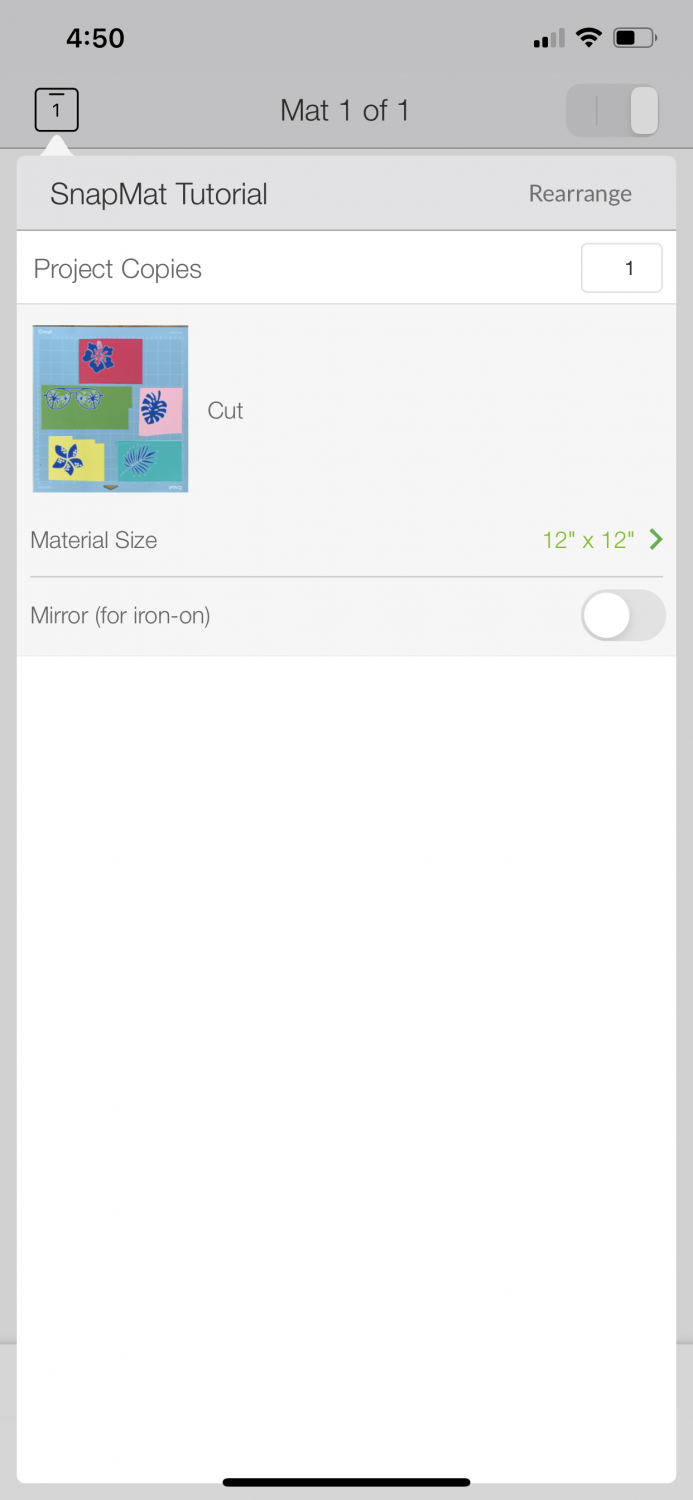 Cricut Design Space iOS: SnapMat options, including mirror and project copies