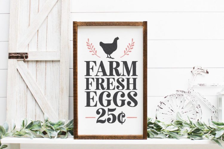 Free Farm Fresh Eggs SVG for Cricut and Silhouette