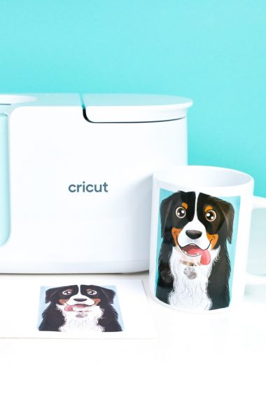 Cricut Mug Press with Dog mug and transfers