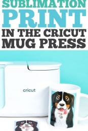How to Use a Sublimation Print in the Cricut Mug Press pin