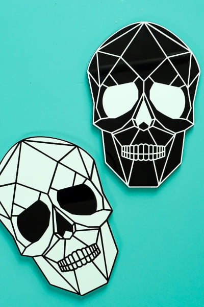 Two skulls on teal background