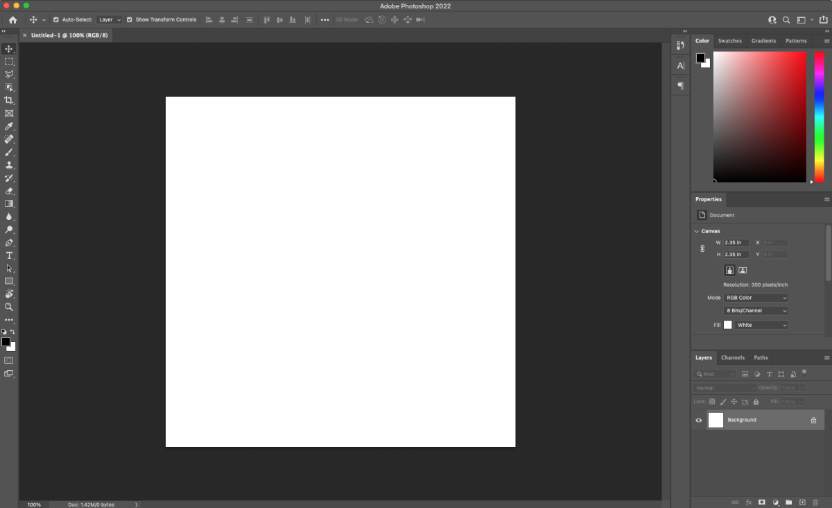 Blank Photoshop canvas.