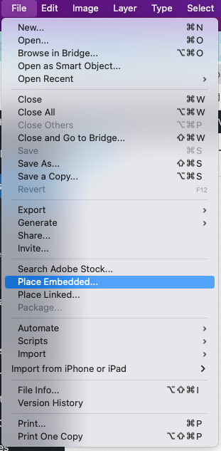 File dropdown to choose "Place Embedded"