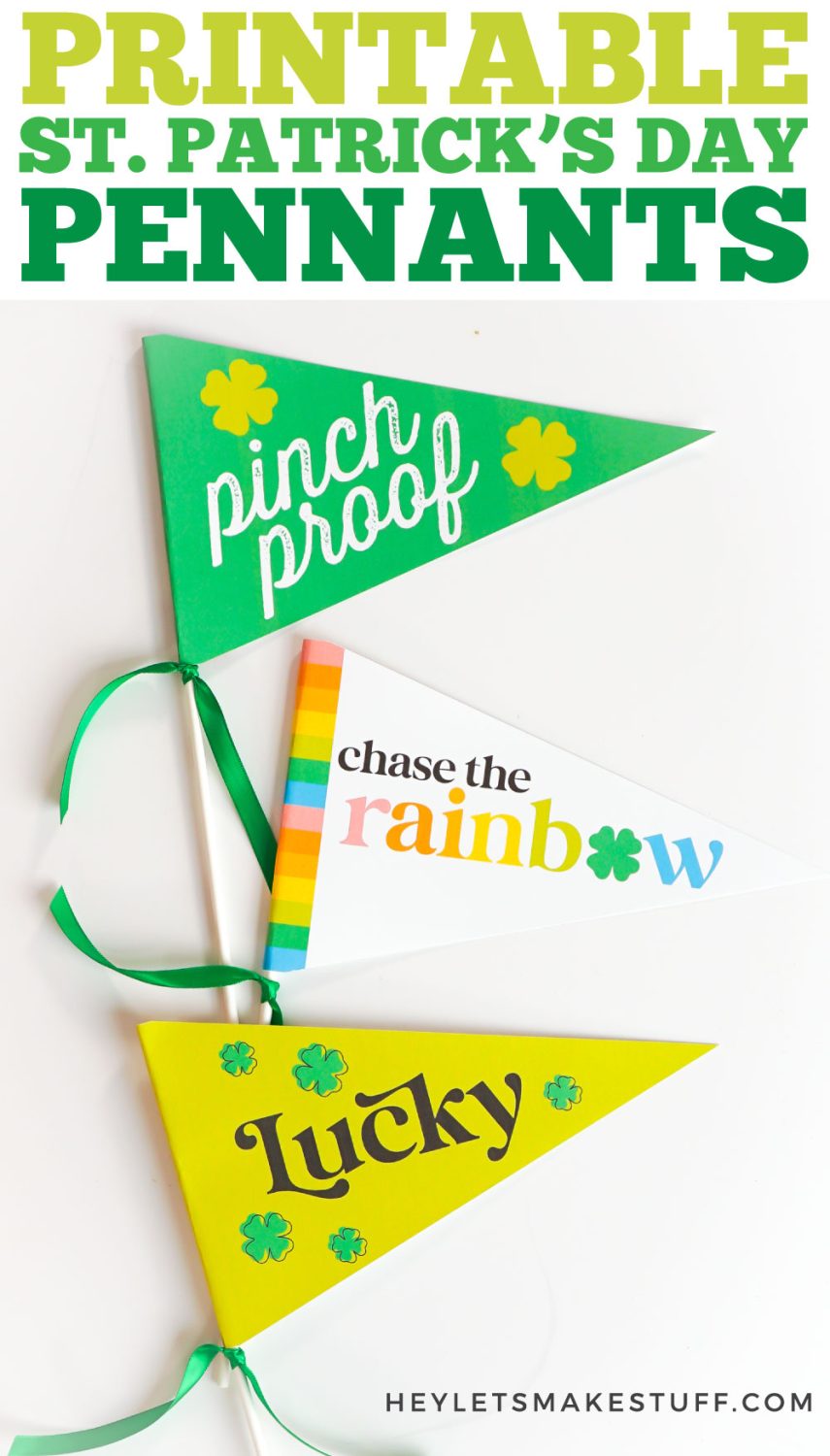 St. Patrick's Day pennant flags pin image