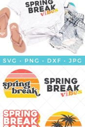 Spring Break SVG Bundle pin