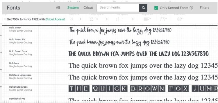DS: Font dropdown showing Bold Brush installed.