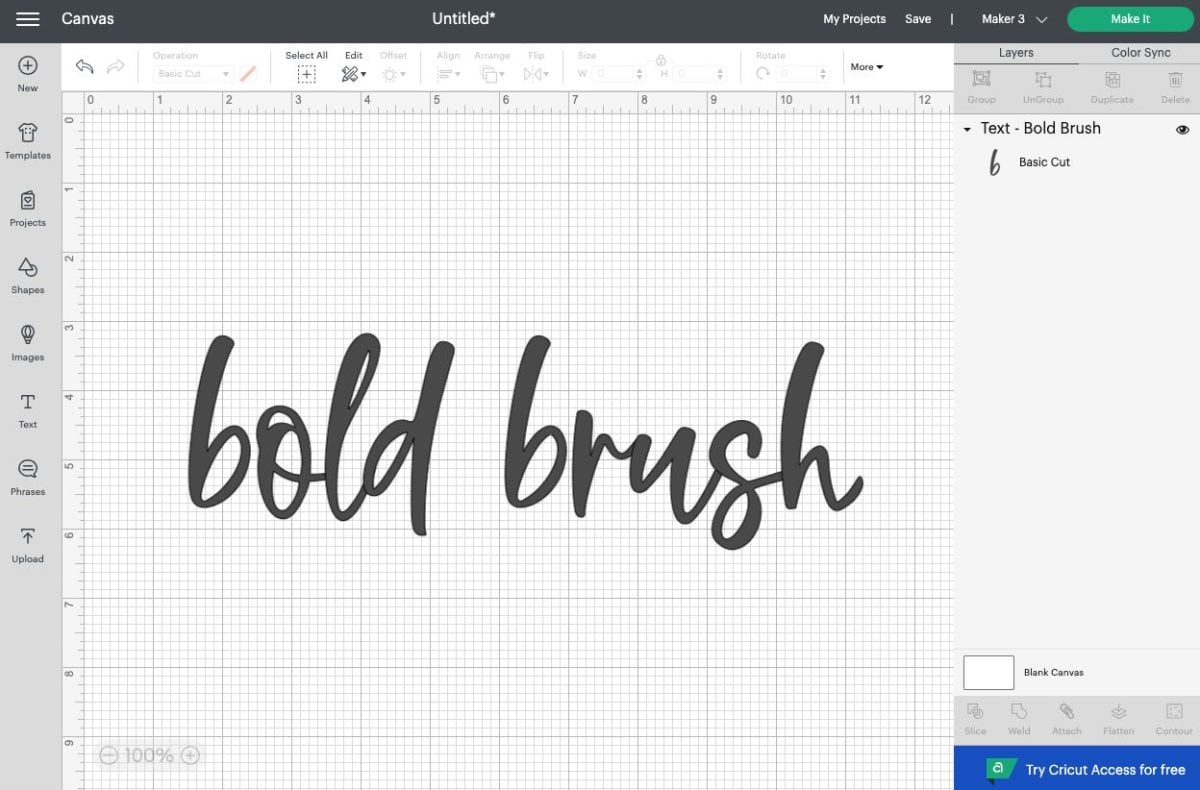 DS: Canvas with "bold brush" written in Bold Brush font.