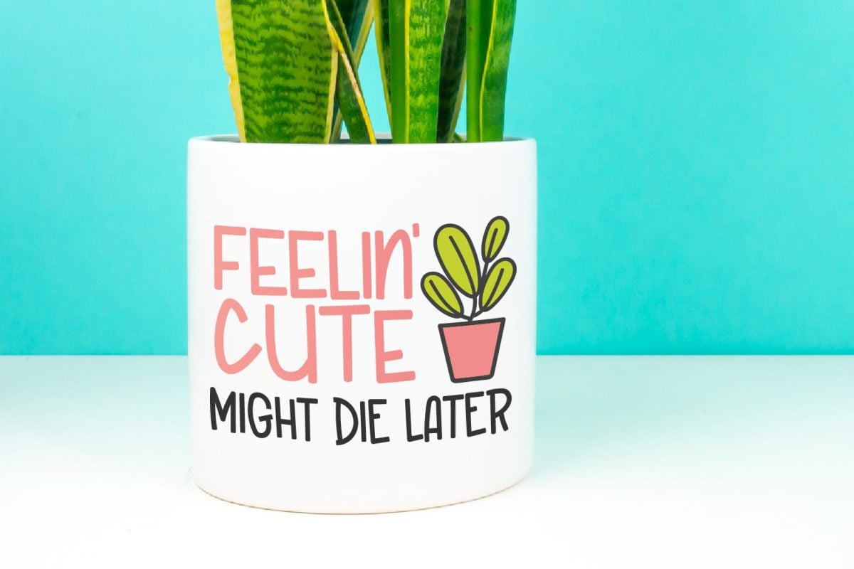 Feelin' cute, might die later SVG image on white planter