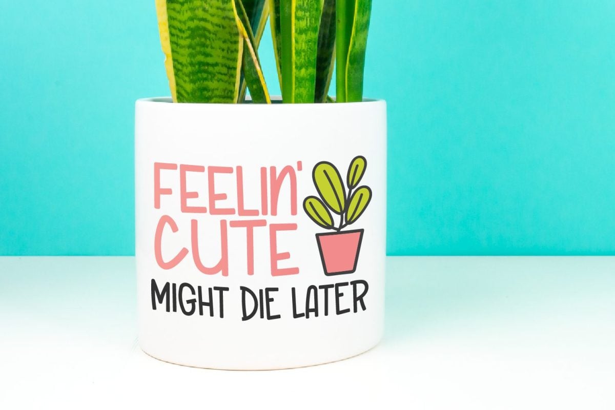 Free Plant SVG: Feelin' Cute, Might Die Later - Hey, Let's Make Stuff