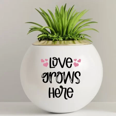 Round white flower plant that says Love Grows Here