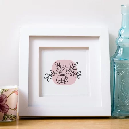 Image of a small plant framed in a white shadowbox frame
