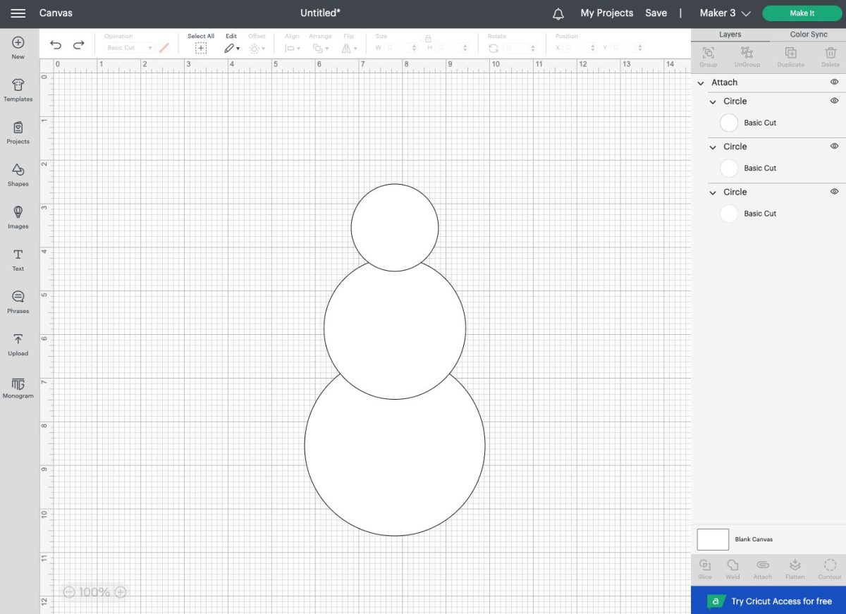 DS - Canvas showing attached snowman.