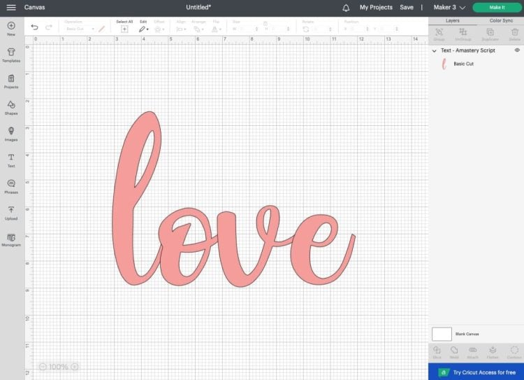 DS - LOVE on canvas in pretty script font