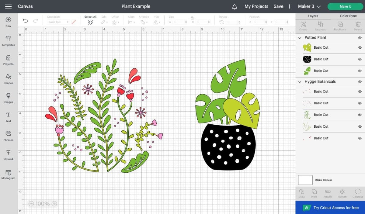 Design Space showing complicated plant image vs more simple plant image.