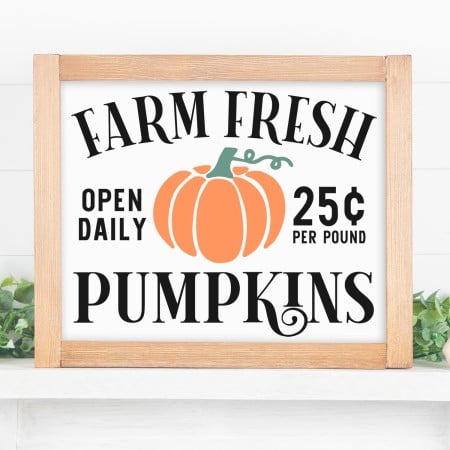Framed white sign with the saying Farm Fresh Pumpkins on it